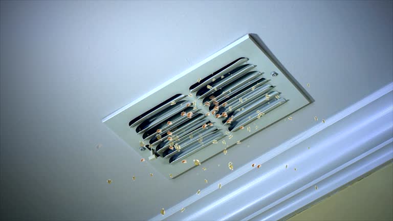 Home Air Vent Cleaning in Tavernier, FL